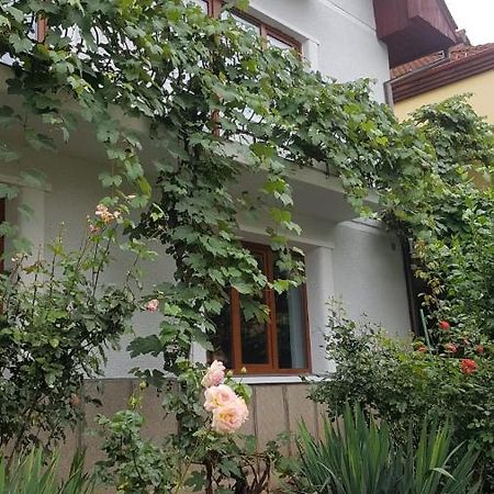 Madalina Apartment Brasov Exterior photo