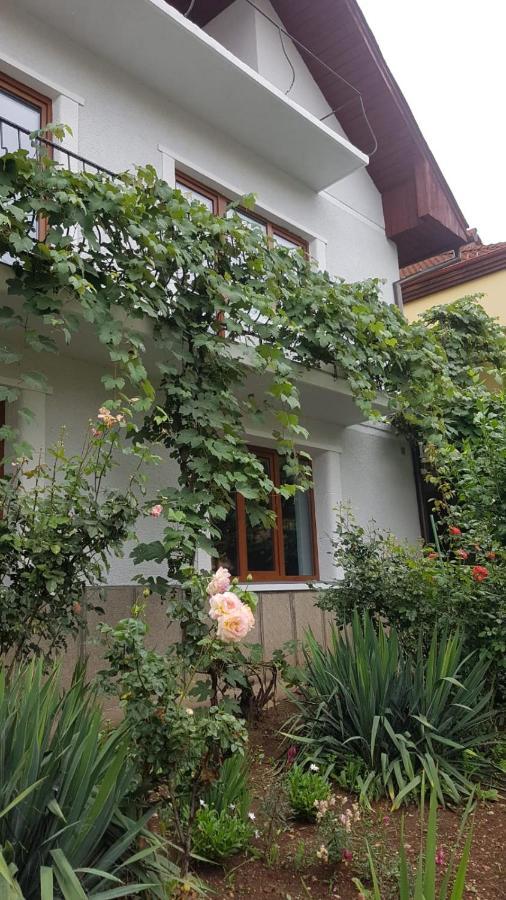 Madalina Apartment Brasov Exterior photo