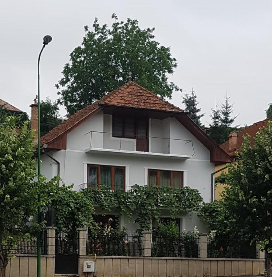 Madalina Apartment Brasov Exterior photo